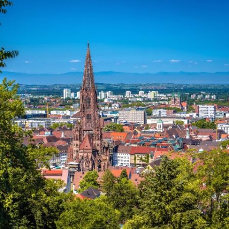 AVGS Coaching Freiburg