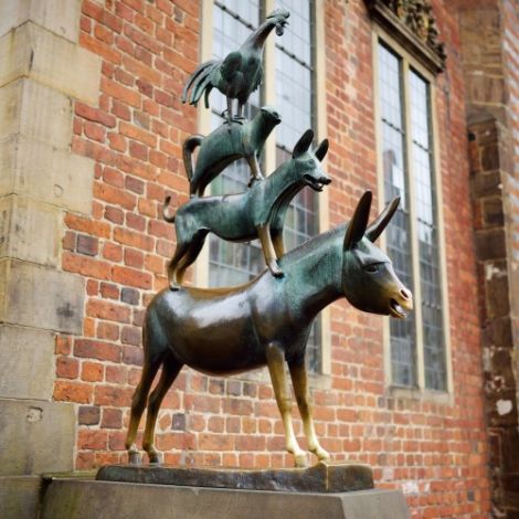 AVGS Coaching Bremen